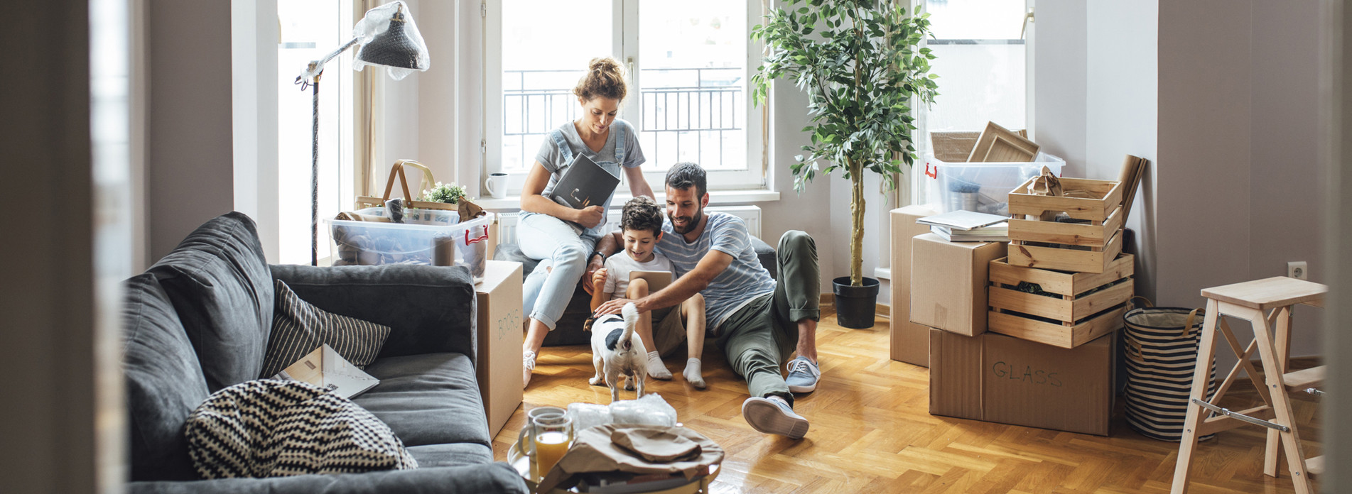 ISO PORTE à Fessy, membre du réseau expert Vachette